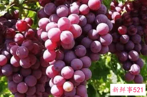 葡萄的功效与作用有什么