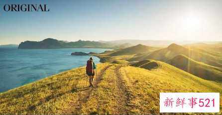 Adobe推出网页版Photoshop和程序有什么区别