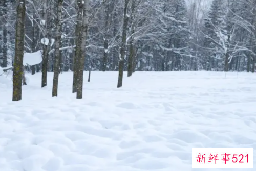 梦见地上厚厚的雪是什么意思