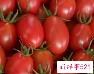 圣女果冷藏的最佳温度