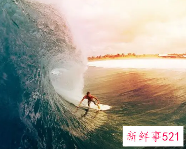 冲浪会不会掉水里