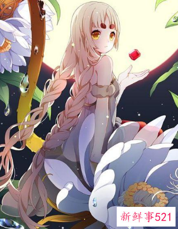 12星座追求者有多少人