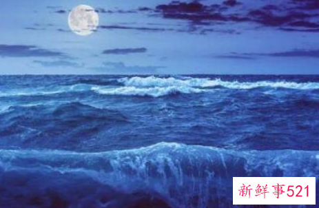 梦见海水涨潮逃跑