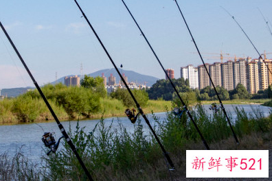 新手钓鱼怎么把鱼线绑到杆上