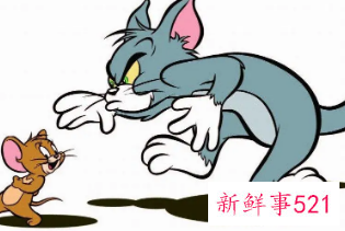 梦见家里好多老鼠和猫