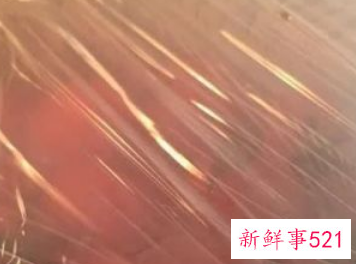 圣女果冷藏的最佳温度