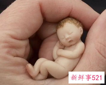 六个月宝宝早教教什么