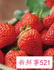 新鲜草莓怎么保存时间长