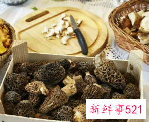 长在树边的是什么蘑菇能吃吗