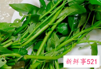 洗过的空心菜怎么保存