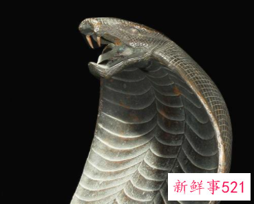 蛇在日本文化中代表什么