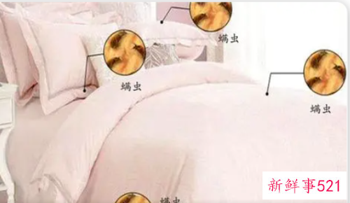 床上如何除螨