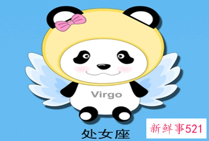 处女座下海经商能否发财