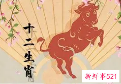 牛女今年运势如何