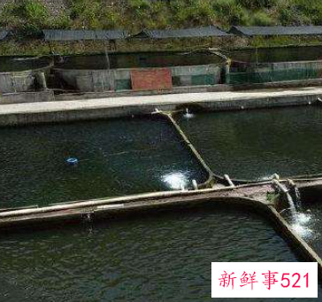 承包鱼塘体是什么意思