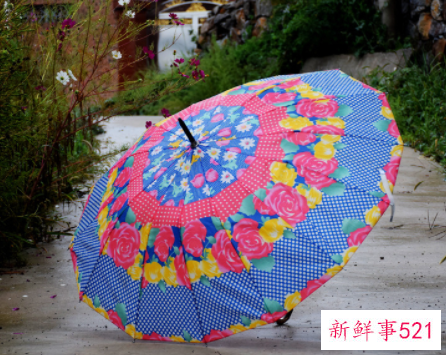 梦见买花雨伞什么寓意