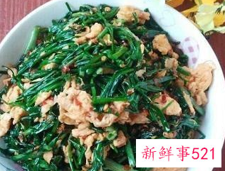 晚上吃什么菜好吃又简单