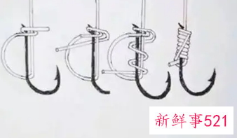 新手钓鱼怎么把鱼线绑到杆上
