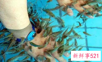 鱼疗有什么好处