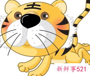 虎宝宝女孩名字洋气