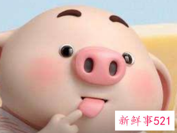 属猪男认定你的表现