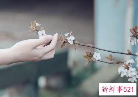 已婚女人真拒绝你的表现