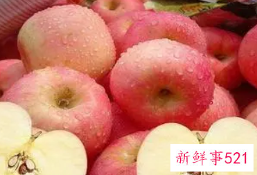 孕妇体虚吃什么食补