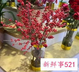 新年家里放什么花寓意好