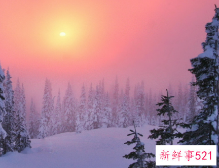 幼儿园中班冬季取暖安全教案