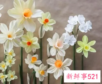 象征家庭美满的花