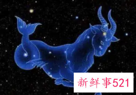 摩羯座爱你的表现