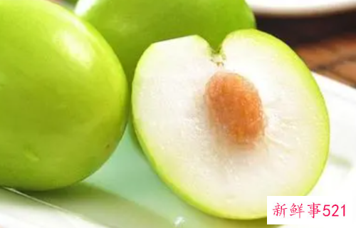 青枣属性寒还是热