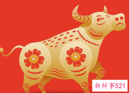 适合住东户的属相