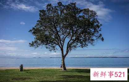 考科目三穿什么颜色衣服大吉