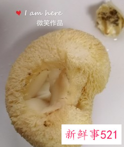 干猴头菇怎样炖鸡汤