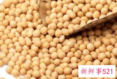 优质蛋白质主要来源于哪些食物