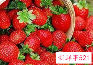 草莓与什么食物相克