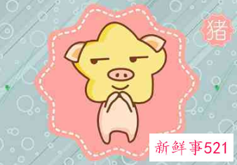 王姓猪年女宝名字