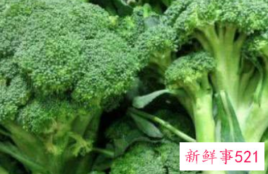 优质蛋白质主要来源于哪些食物