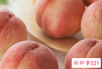 喂狗狗吃水果的注意事项