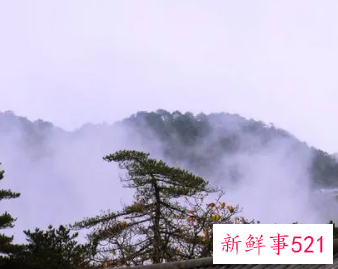 梦见仙境般景色是什么意思