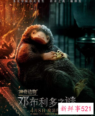 《神奇动物3》中国独家预告曝光