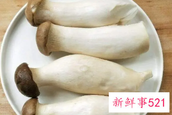 杏鲍菇不能跟什么一起吃