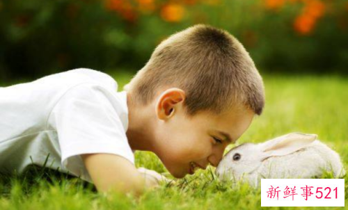 属兔的女性几月出生好