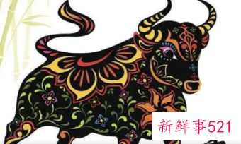 念念不忘是什么生肖