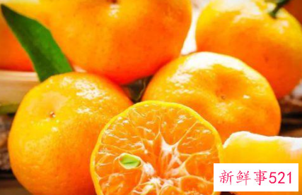 水果的营养物质