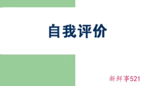 能力上的自我评价