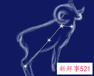 身材匀称的星座女