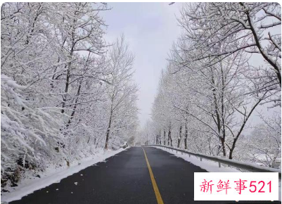 家长开铲车去学校清雪详细情况