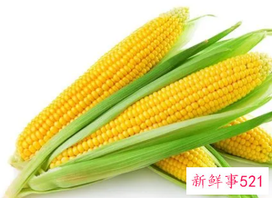 梦见别人偷玉米是什么意思